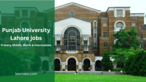 Punjab University Lahore jobs
