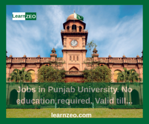 Punjab University (PU) jobs in Lahore 2026
