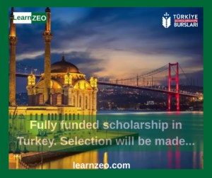 Turkey Burslari scholarship