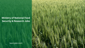 Ministry of National Food Security & Research Government Jobs