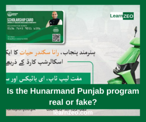 Hunarmand Punjab Program