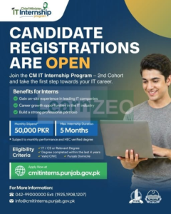 CM IT Internship