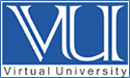 Virtual University